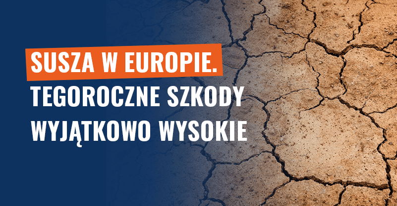 Susza w Europie. Tegoroczne szkody wyjątkowo wysokie