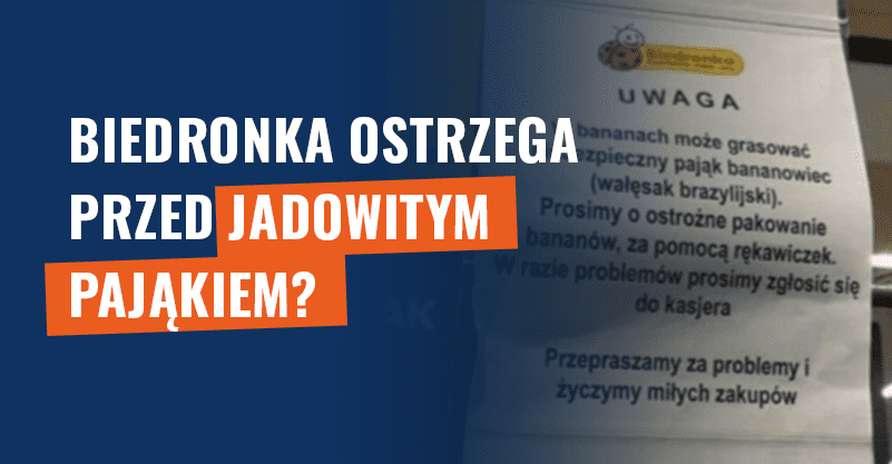 Biedronka ostrzega przed jadowitym pająkiem? BOK dementuje