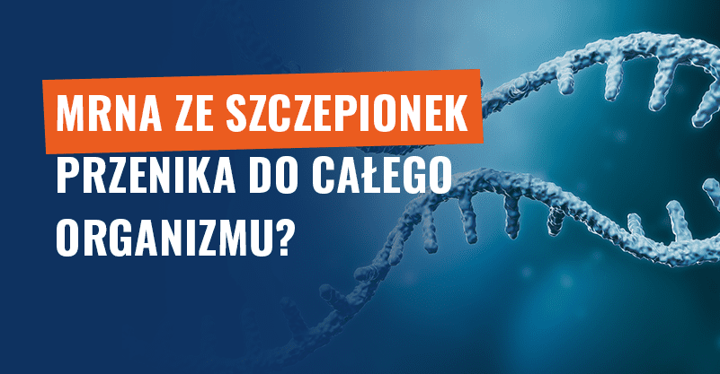 mRNA ze szczepionek przenika do całego organizmu? Fake news