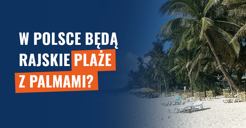 W Polsce będą rajskie plaże z palmami? Prognozy są inne