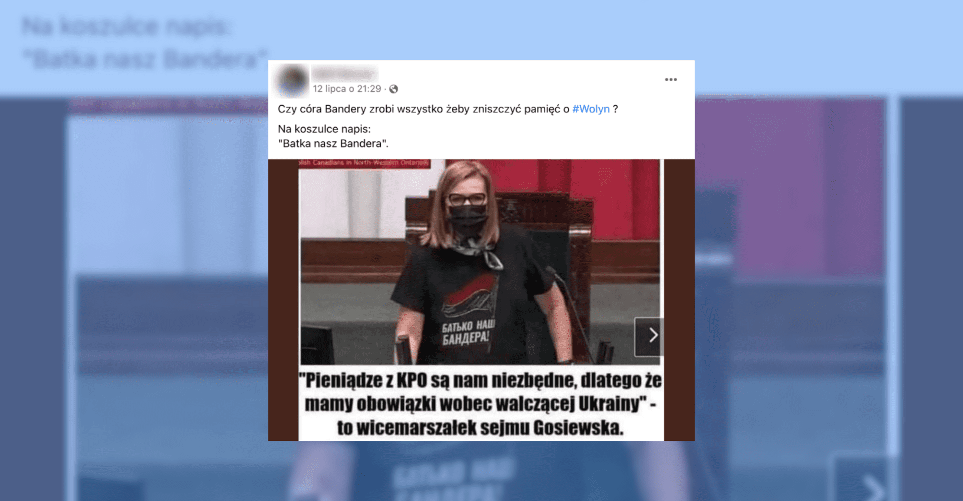 Screenshot przedstawiający fotomontaż wicemarszałek Małgorzaty Gosiewskiej w koszulce z napisem po ukraińsku: „батько наш Бандера”, czyli „Bandera naszym ojcem”. W rzeczywistości Gosiewska miała na sobie koszulkę z napisem „Achtung Russia” (niem. „Uwaga Rosja”) oraz esesmańskim symbolem.