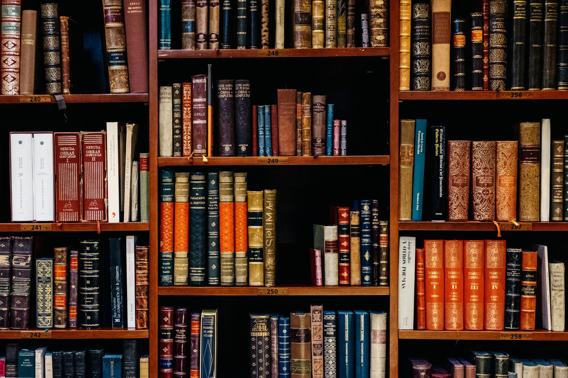 Biblioteka w Marsylii spłonęła? Nagranie tego nie pokazuje