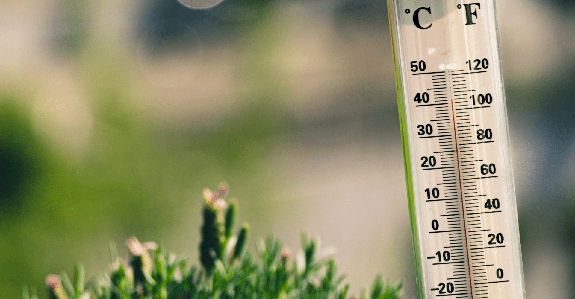 Termometr wskazujący wysoką temperaturę