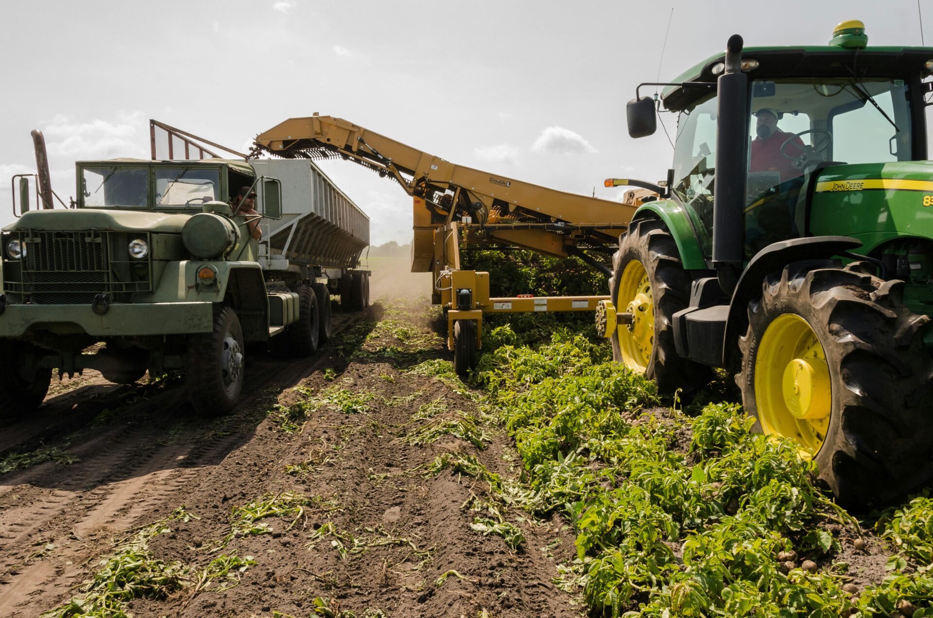 Traktor zbierający plony po prawej stronie, po lewej samochód z przyczepką. Oba jadą po polu.