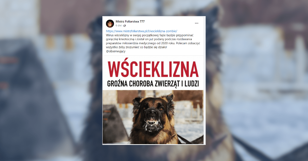 screen z facebooka