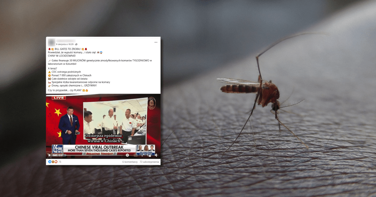 w tle komar, zrzut ekranu z Facebooka