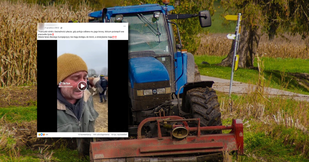 Rolnik płacze, bo policja zabrała mu krowy. Czy to prawdziwy film?