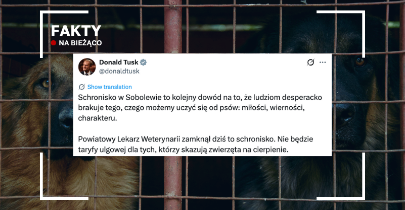 W tle zdjęcie psów w schroniskowych boksach. Na to nałożony wpis Donalda Tuska. W lewym górnym rogu napis Fakty na bieżąco