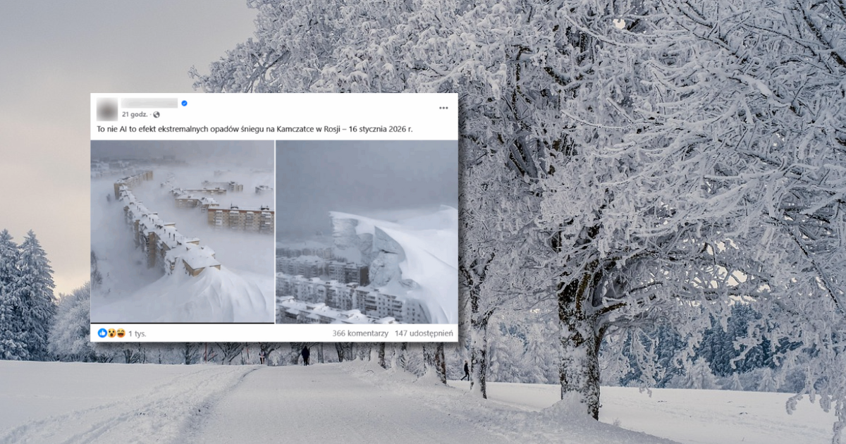 W tle zima, screen z Facebooka