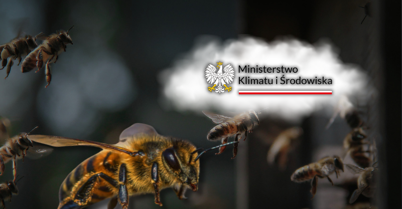 Fot. Pexels / Wikimedia Commons / Modyfikacje: Demagog.org.pl