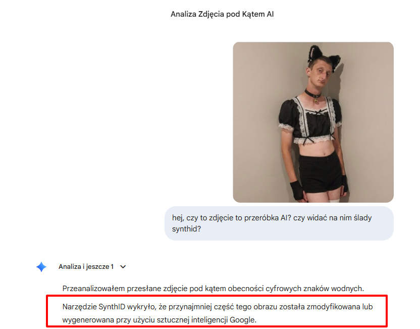 Zapis konwersacji z Google Gemini potwierdzający, że zdjęcie wygenerowano z użyciem sztucznej inteligencji