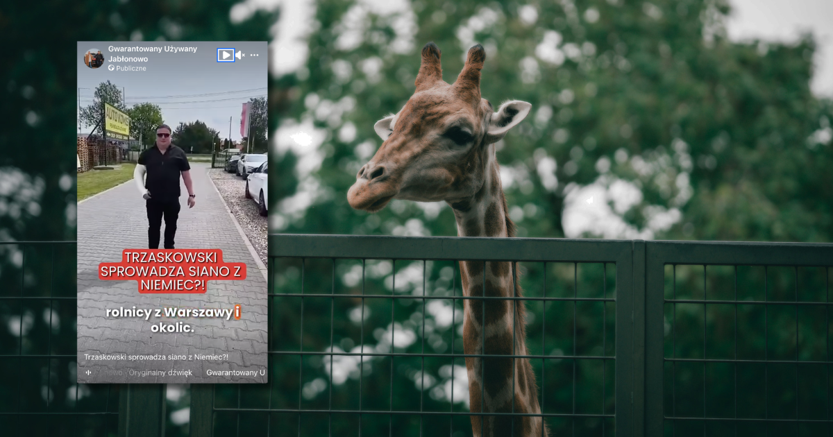 Trzaskowski i siano z Niemiec w warszawskim zoo. O co chodzi w tej sprawie